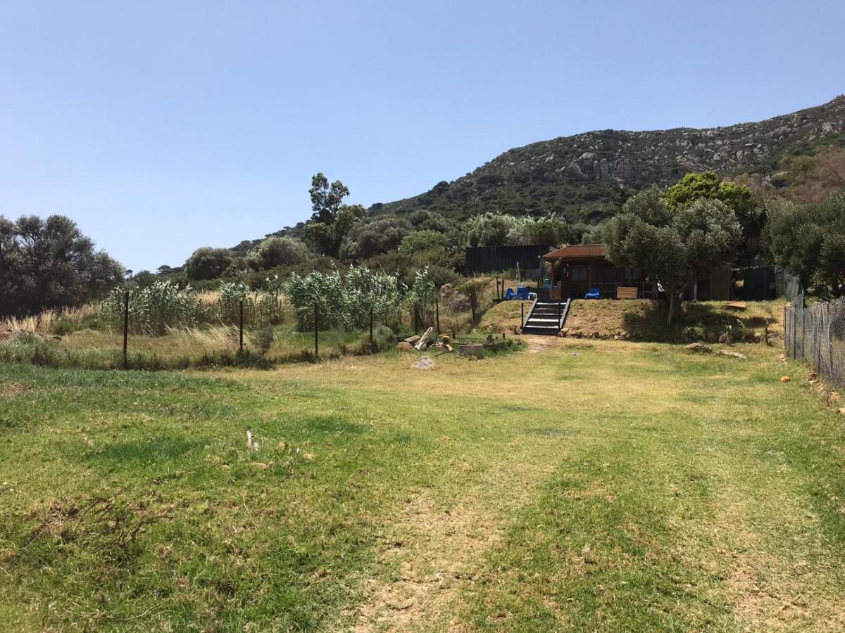 Rustic Cabin Tarifa 4 Guests 10 Minutes To Beach Extérieur photo