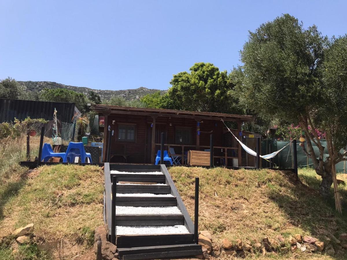 Rustic Cabin Tarifa 4 Guests 10 Minutes To Beach Extérieur photo