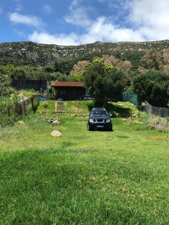 Rustic Cabin Tarifa 4 Guests 10 Minutes To Beach Extérieur photo