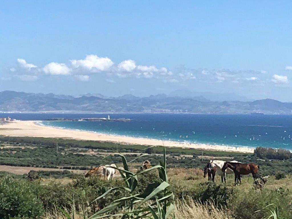 Rustic Cabin Tarifa 4 Guests 10 Minutes To Beach Extérieur photo